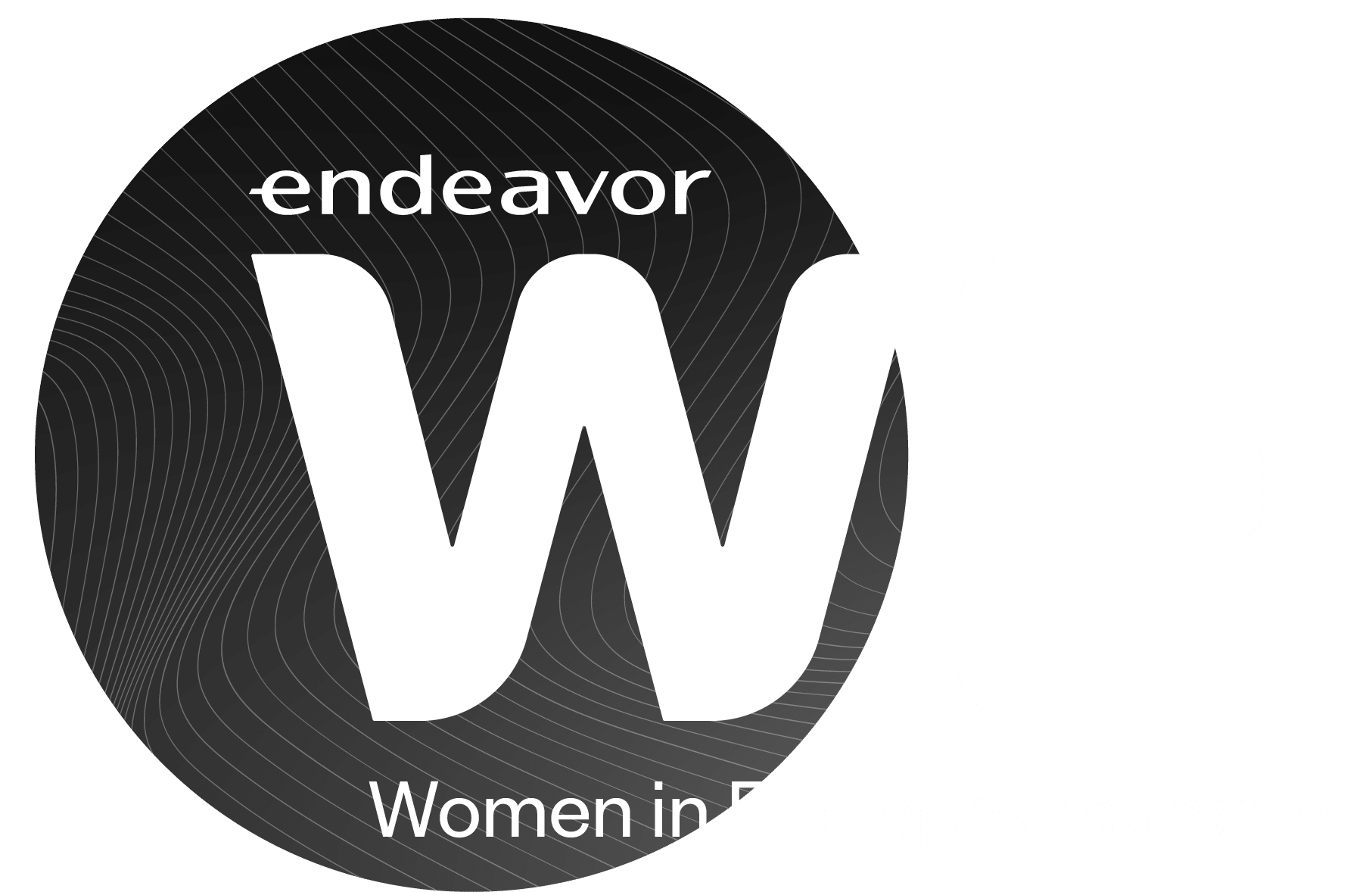 Women in Entrepreneurship WE